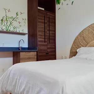 https://condominio-en-la-riviera-maya.allrivieramayahotels.com